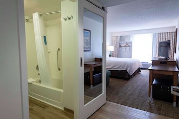 Room, 1 King Bed, Non Smoking (with Chaise Lounge)
