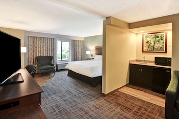 Suite, 1 King Bed with Sofa bed, Non Smoking