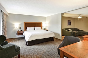 Suite, 1 King Bed, Accessible, Non Smoking (Roll-in Shower)