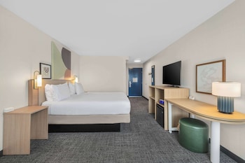 Room, 1 King Bed