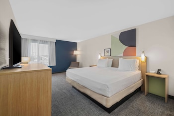 Room, 1 King Bed