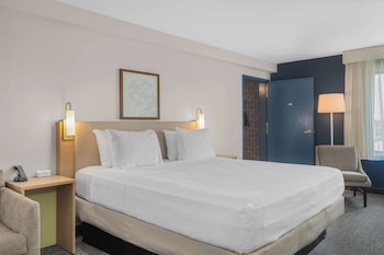 Room, 1 King Bed with Sofa bed