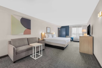 Room, 1 King Bed with Sofa bed