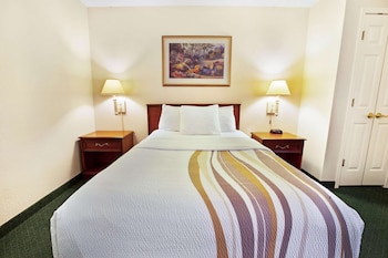 Room, 1 Double Bed, Accessible, Non Smoking (Mobility Accessible)