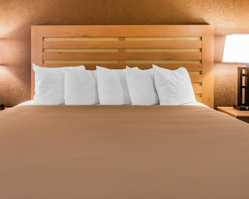 Room, 1 King Bed, Accessible, Non Smoking