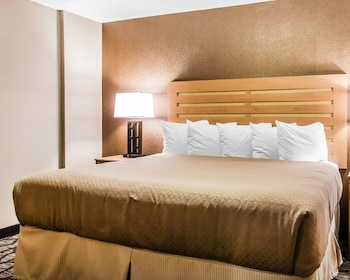 Room, 1 King Bed, Accessible, Non Smoking