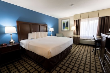 Business Room, 1 King Bed
