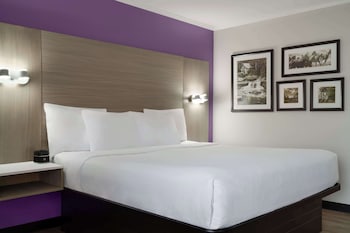 Room, 1 King Bed, Non Smoking