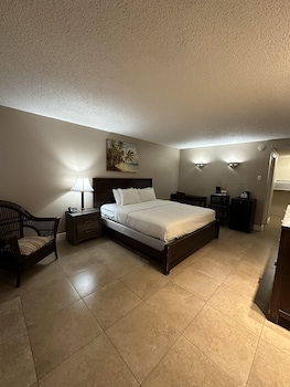 Room, 1 King Bed, Refrigerator & Microwave