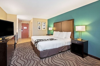 Deluxe Suite, 1 King Bed, Non Smoking