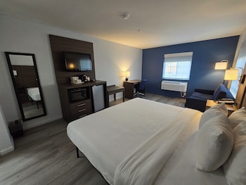 Standard Room, 1 King Bed with Sofa bed