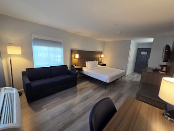 Standard Room, 1 King Bed with Sofa bed