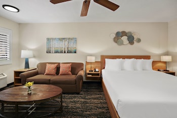 Studio Suite, 1 Queen Bed with Sofa bed, Accessible, Non Smoking