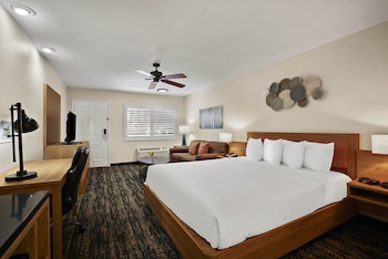 Deluxe Studio, 1 King Bed with Sofa bed, Non Smoking