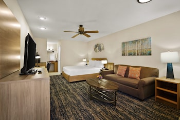 Studio Suite, 1 Queen Bed with Sofa bed, Accessible, Non Smoking