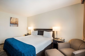 Standard Room, 1 King Bed, Non Smoking, Refrigerator & Microwave