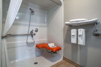 Suite, 1 Queen Bed, Accessible, Refrigerator & Microwave