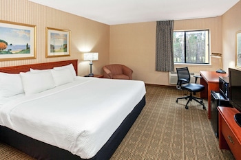 Room, 1 King Bed, Non Smoking