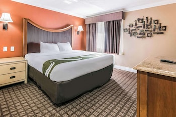 Suite, 1 King Bed, Non Smoking
