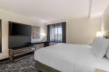 Deluxe Studio Suite, 1 King Bed, Non Smoking