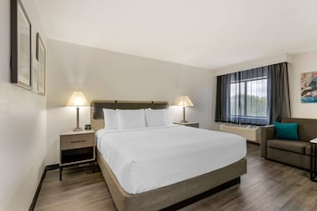Executive Suite, 1 King Bed, Non Smoking