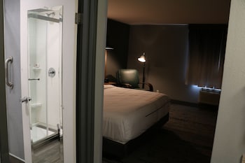 Room, 1 King Bed