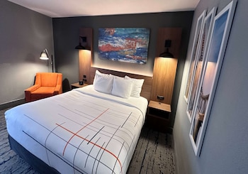 Room, 1 King Bed, Non Smoking (Pet-Friendly)