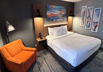 Room, 1 King Bed, Accessible, Non Smoking (Roll-In Shower)