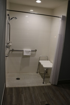 Room, 1 King Bed, Accessible, Non Smoking (Roll-In Shower)