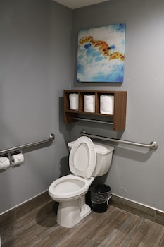 Room, 1 King Bed, Accessible, Non Smoking (Roll-In Shower)