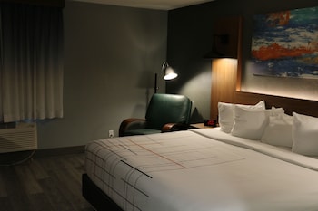 Room, 1 King Bed, Non Smoking (Pet-Friendly)