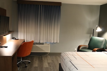 Room, 1 King Bed, Non Smoking (Pet-Friendly)