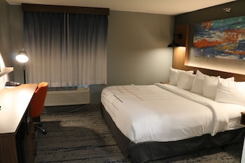 Room, 1 King Bed, Accessible, Non Smoking (Roll-In Shower)