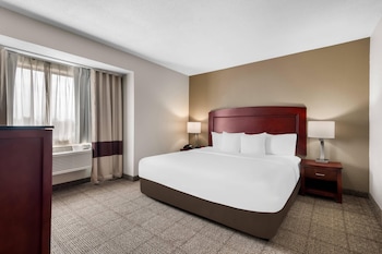 Business Room, 1 King Bed, Non Smoking