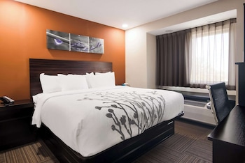 Room, 1 King Bed, Non Smoking