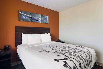 Standard Room, 1 Queen Bed, Non Smoking