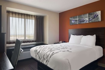 Standard Room, 1 Queen Bed, Non Smoking