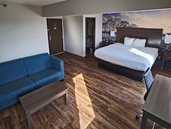 Standard Room, 1 King Bed, Non Smoking