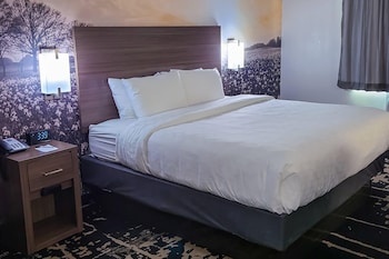 Standard Room, 1 King Bed, Non Smoking