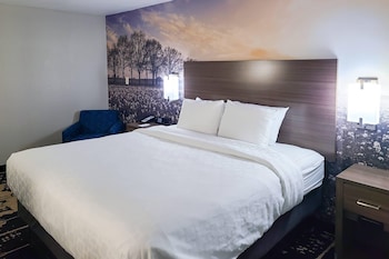 Room, 1 Queen Bed, Accessible, Non Smoking