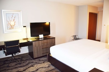 Suite, 1 King Bed (2 Room Suite)