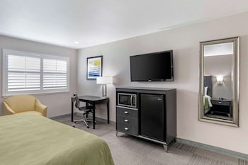 Room, 1 King Bed, Non Smoking