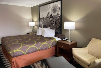 Room, 1 King Bed