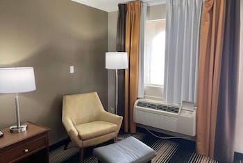 Room, 1 King Bed