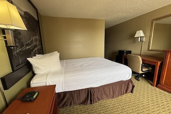 Standard Room, 1 Queen Bed