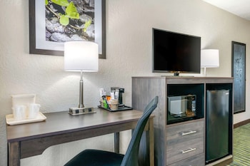 Suite, 1 King Bed with Sofa bed, Non Smoking (Upgrade)