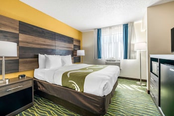 Suite, 1 King Bed with Sofa bed, Non Smoking (Upgrade)