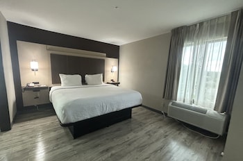 Suite, 1 King Bed with Sofa bed, Non Smoking