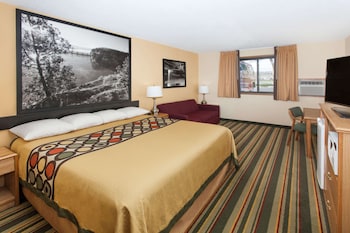 Room, 1 King Bed, Non Smoking