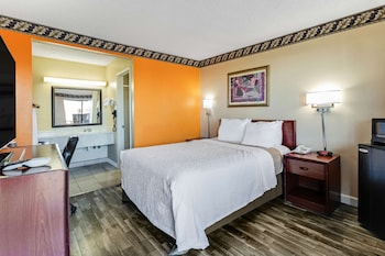 Room, 1 Queen Bed